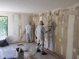 Best Comprehensive Air Testing for Mold Contaminants in Chestertown, MD